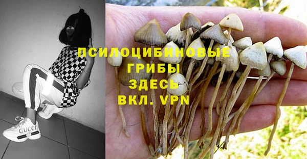 jwh Михайловка