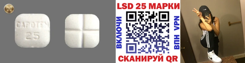 MEGA зеркало  Жиздра  LSD-25 экстази ecstasy 