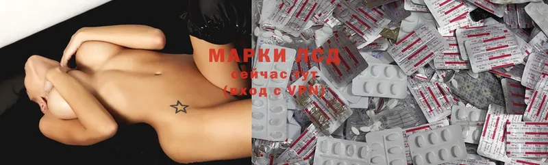 закладки  Жиздра  ЛСД экстази ecstasy 